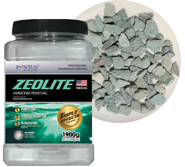 ZEOLITE